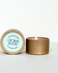 The Verdant Muse Deluxe Gift Set
