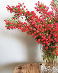 Australian Baronia Linen Spray - naturally derived odour neutraliser