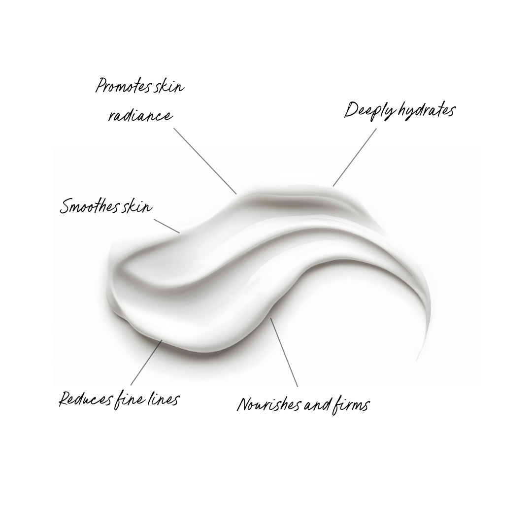 Ceramide and Marine Collagen Daily Hydration Cream