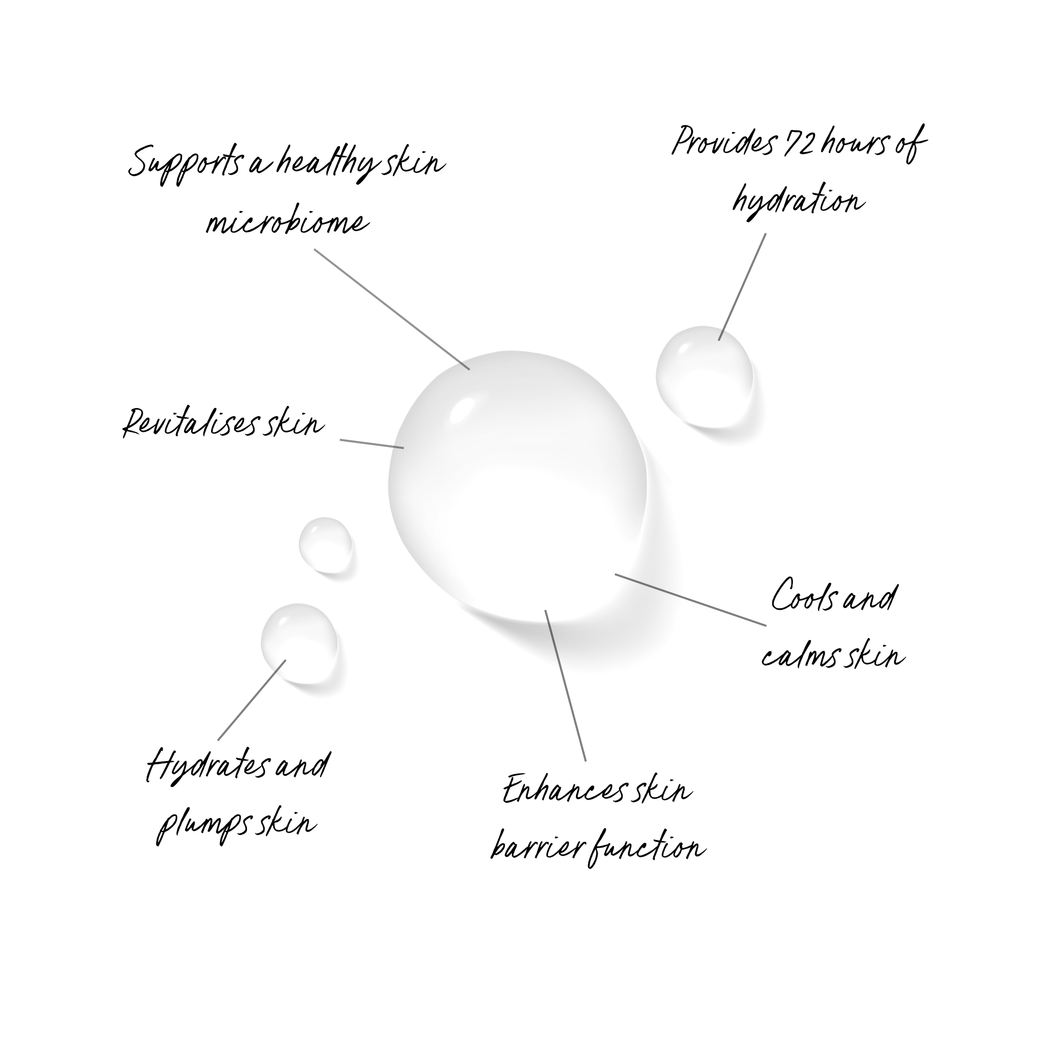 Small droplets of botanical face mist sit on a white surface. Around the outside there is text that describes the function of the product. The text reads, supports a healthy skin microbiome, provides 72 hours of hydration, cools and calms skin, enhances skin barrier function, hydrates and plumps skin, revitalises skin